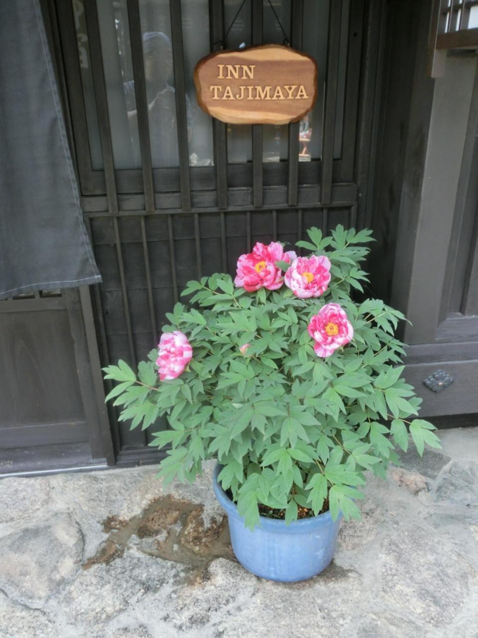 נאקאטסוגאווה Tajimaya מראה חיצוני תמונה
